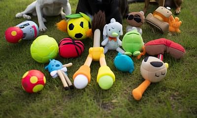 What are the best dog toys for really strong dogs?