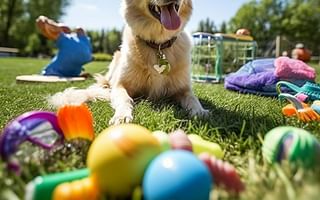 What are the top-rated toys for active dogs?