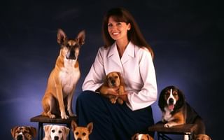 What is the best dog training program?